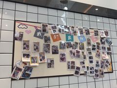 -半岛宠物医院24小时(科华中路店)