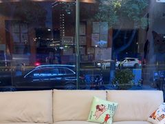 -瑞派申生动物医院·24H夜诊·国际动物医疗中心·骨外科(吴中路店)