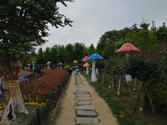 -荷兰花海