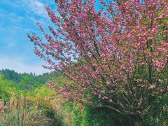 -贵阳市花溪国家城市湿地公园