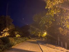 -府君山公园