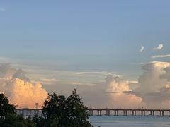 -宝安西湾红树林湿地公园