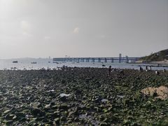 -星海湾跨海大桥