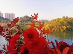 -景德镇中国陶瓷博物馆西山湖凯莱度假酒店