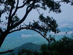 -紫金山山顶公园