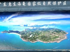 -广东惠东海龟国家级自然保护区