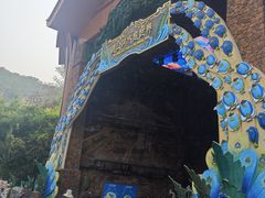 -西双版纳原始森林公园