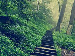 -岳麓山风景名胜区