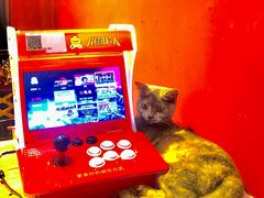 -猫色咖啡·猫咖