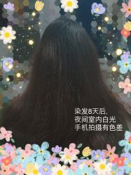 -可可丽舍