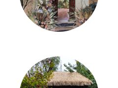 -思念果岭悦温泉