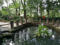 -成都市活水公园