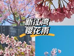 -新江湾城公园
