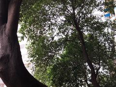 -纯阳馆鱼香排骨面(东二道街店)