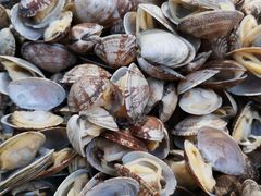 -降龙爪爪(建设路1店)