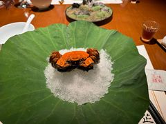 -觀芷隐轩