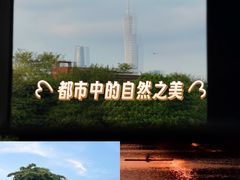 -海珠湖公园