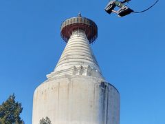 -庆丰包子铺(西单店)