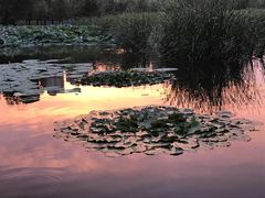 -前关湿地公园