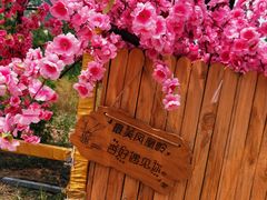 -北京凤凰岭