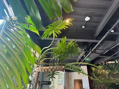 -J Create城市露营咖啡·简餐·宠物(上海动物园店)