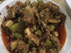 -天一沾水肥肠(科园一街店)
