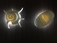 -青岛贝壳博物馆