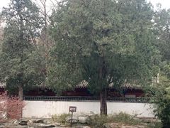 -香山公园