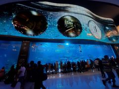 -迪拜水族馆及水下动物园