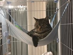 -猫的天空之城概念书店(北戴河蔚蓝海岸店)