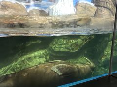 -海合安武汉极地海洋公园