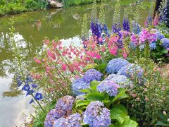 -人民公园(罗湖区)