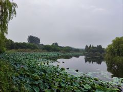 -上海市保健医疗中心