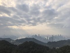 -大金鹰园