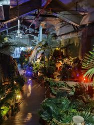 -恐龙探索乐园(磁器口店)