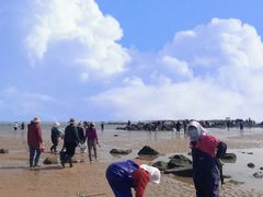 -巧克力渔家.小船海鲜胶东菜(万平口店)