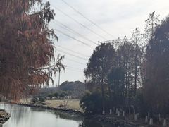 -九里河湿地公园