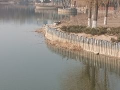 -大兴滨河森林公园