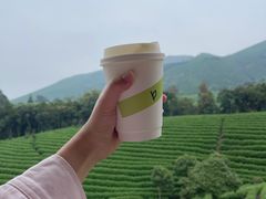 -白茶原·一片叶子
