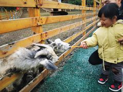 -黄龙溪欢乐田园