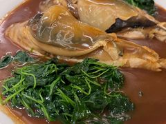 -沈灶河豚宴·河豚融合餐厅(汉中路店)