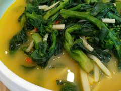 金汤捞菜尖-嘉和一品粥(魏公村店)