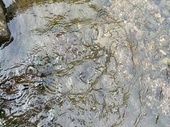-林坑古村落