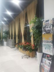 -CARR SALON