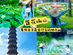 -广州莲花山旅游区