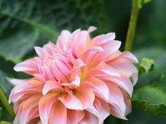 -上海辰山植物园