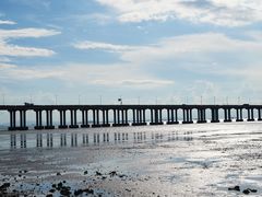 -宝安西湾红树林湿地公园