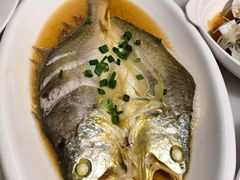 -华盛丰温州大排档(东三环南路店)