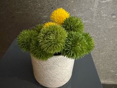 -止观小馆·辽河口渔家菜(王府井店)