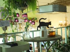 -Jo's Garden